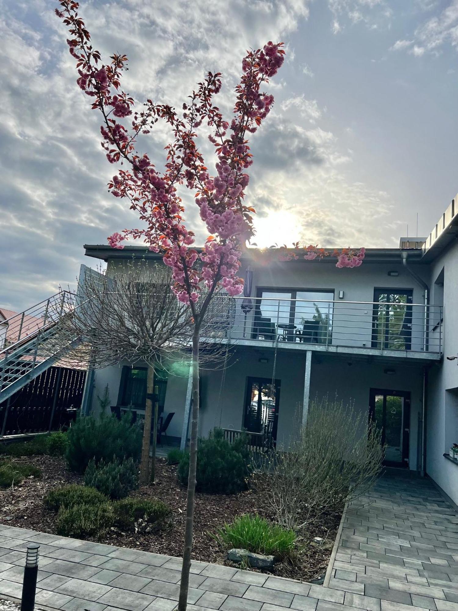 Apartmany Benesov Benesov nad Ploucnici Luaran gambar