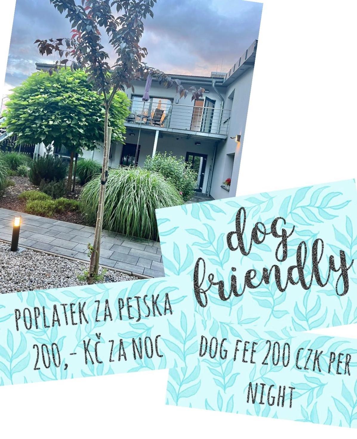 Apartmany Benesov Benesov nad Ploucnici Luaran gambar